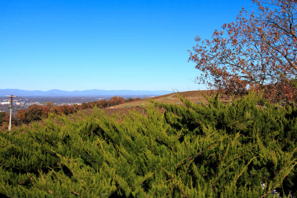 из живописных пейзажей открывается вид на горы блу-ридж - blue ridge mountians стоковые фото и изображения