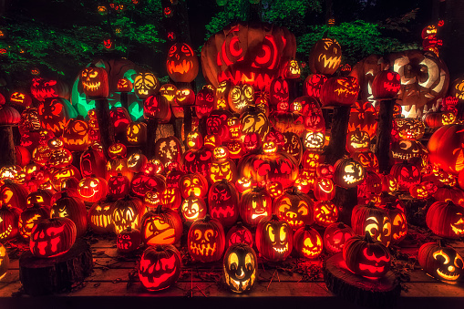 jack o lantern exhibit in Louisville