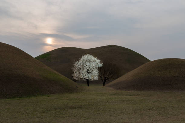 istock Gyeongju royal tomb Spring Vd737 1066796780