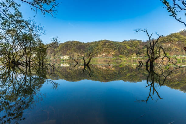 istock Reflection of Daehangno Lohas Park Vd737 1066799756