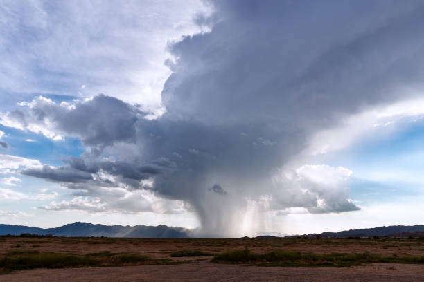 Rain falling from a thunderstorm cumulonimbus cloud. Heavy rain falling from an isolated thunderstorm cumulonimbus cloud in the Arizona desert. Microburst stock pictures, royalty-free photos & images