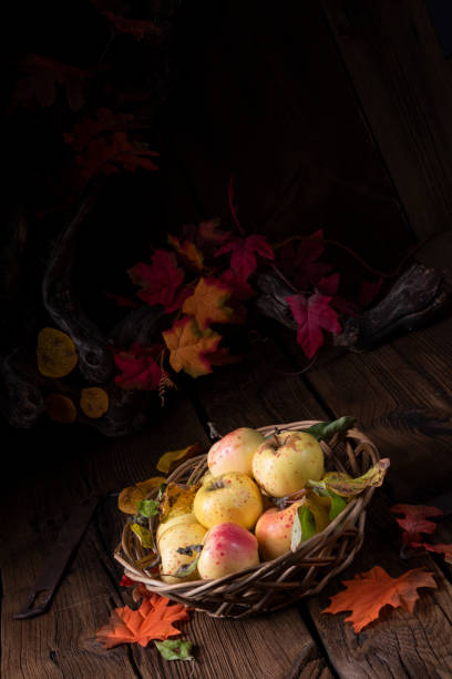 istock fresh and tasty organic apples in a basket 1066806472