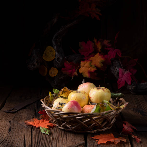 istock fresh and tasty organic apples in a basket 1066806538