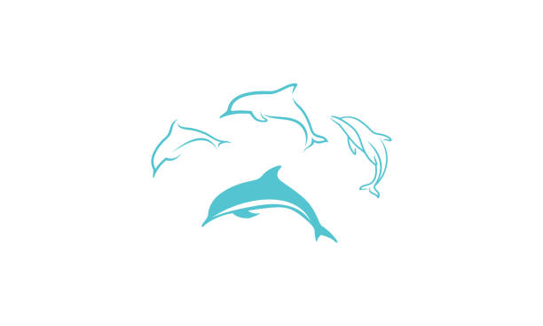 dolphin icon vector For your stock vector needs. My vector is very neat and easy to edit. to edit you can download .eps. dolphin stock illustrations
