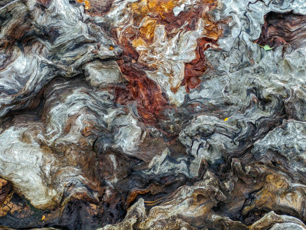 rinde des baumstamm textur hintergrund surreale geformt wie eine farbe der wolken - birch tree tree downy birch white stock-fotos und bilder