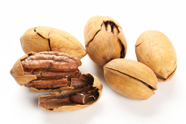 istock A group of pecan nuts on a white background 1066814770