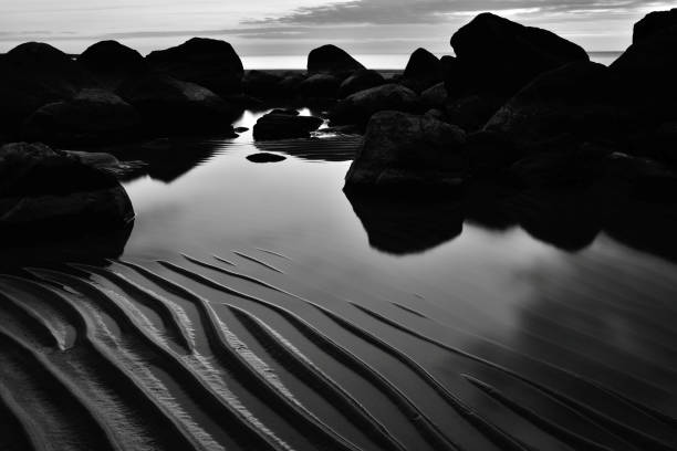 A Moment of Tranquility