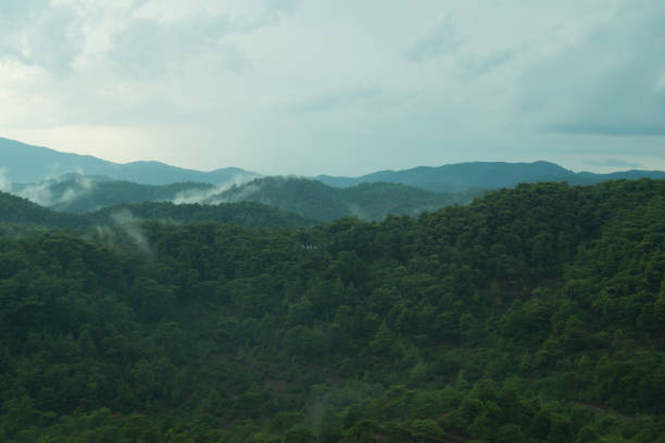 istock Mountain landscape with forest in the mist background 1066821096