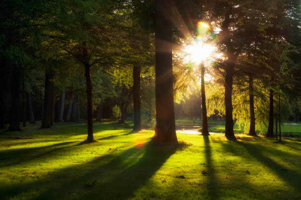 istock Sunset in an English Landscape Park 1066828844