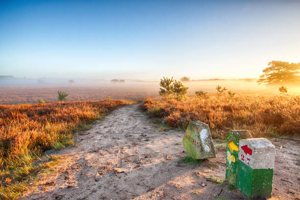 Sunrise in a Heath Landscape