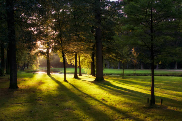 istock Sunset in an English Landscape Park 1066828950