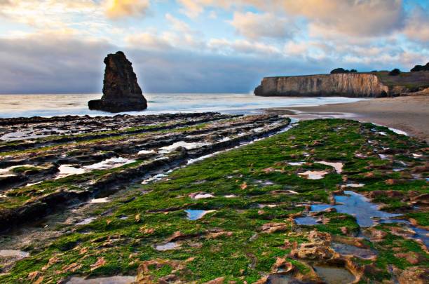 istock Sunset at Davenport Beach, Northern California 1066829042