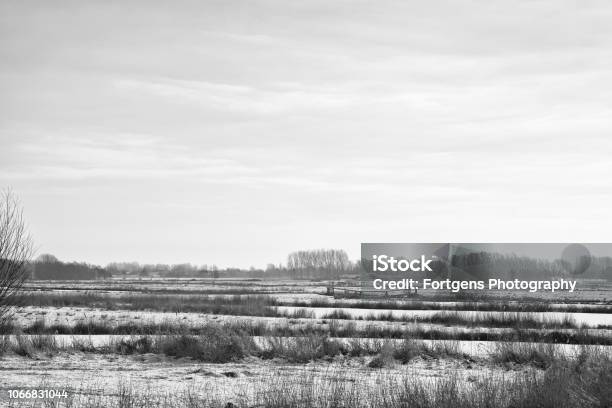 Winter Polder Landscape Stock Photo - Download Image Now - Amsterdam, Beauty, Black And White