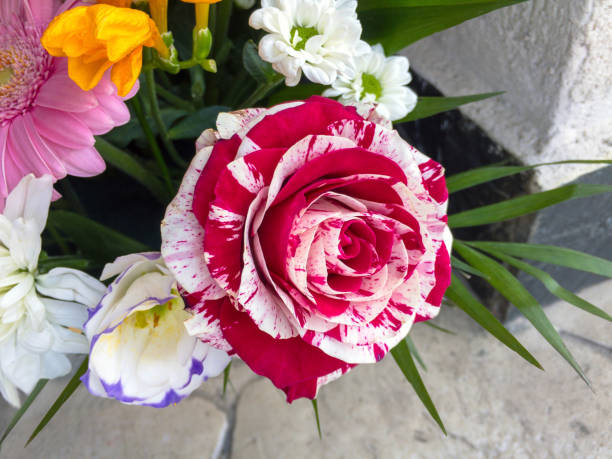 istock Bouquet of various flowers 1066831412