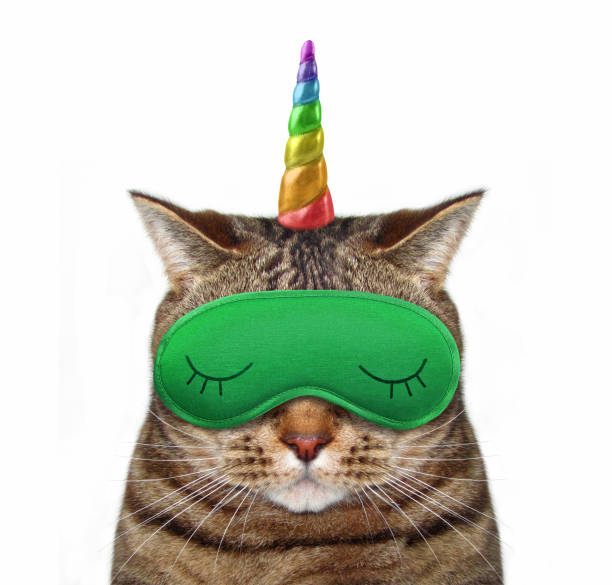 istock Cat unicorn in a sleep mask 1066840380