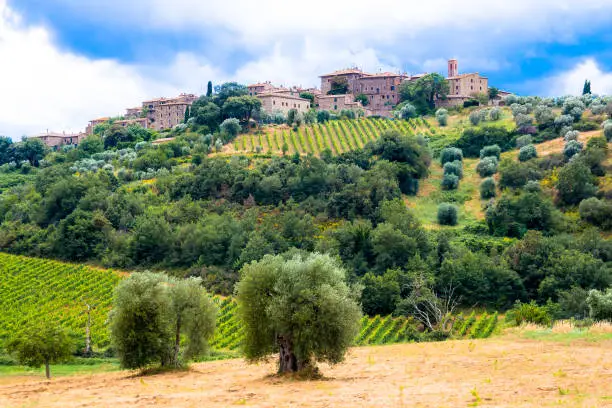 Castelnuovo dell'Abate, little village near Montalcino in Tuscany, Italy; famous for the abbey of sant Antimo