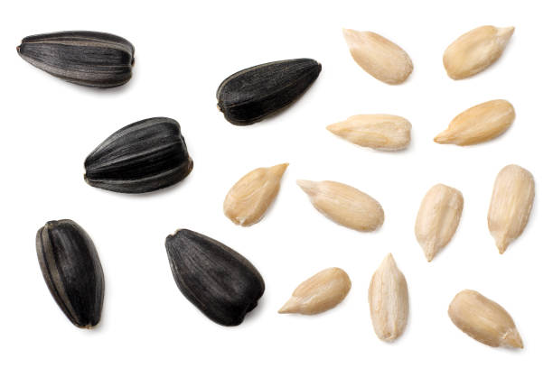 istock sunflower seeds isolated on white background. top view 1066842468