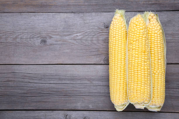 istock Fresh corn on a grey wooden background 1066842692