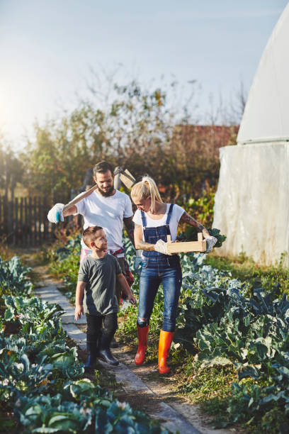 vida em família na fazenda orgânica - gardening child vegetable garden vegetable - fotografias e filmes do acervo