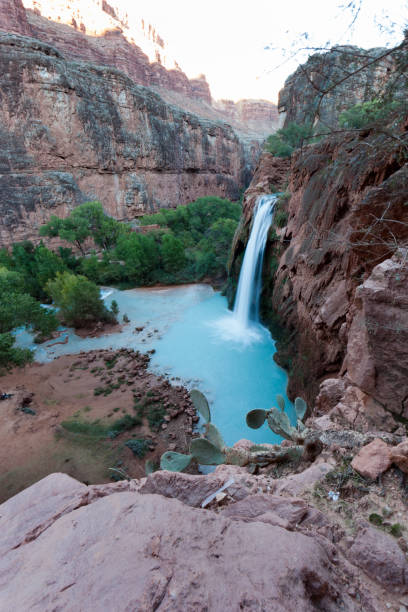 Havasu Falls Havasu Falls havasu creek stock pictures, royalty-free photos & images