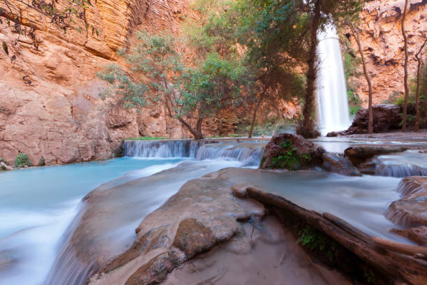 Havasu Falls Havasu Falls havasu falls stock pictures, royalty-free photos & images