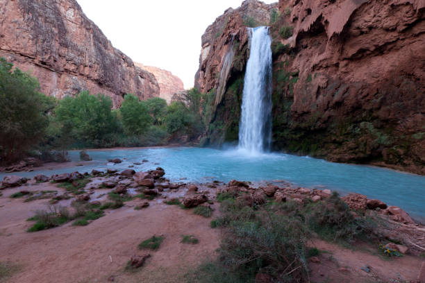 Havasu Falls Havasu Falls havasu creek stock pictures, royalty-free photos & images