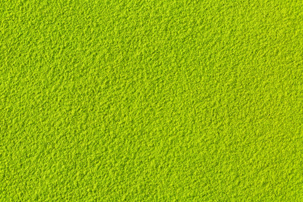 quadro de completo verde matcha chá em pó - dry dried plant green tea antioxidant - fotografias e filmes do acervo