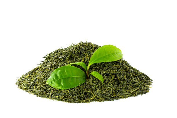 sencha chá verde sobre fundo branco - dry dried plant green tea antioxidant - fotografias e filmes do acervo