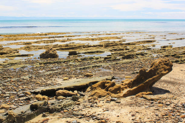 istock Waterfront view on Cape Kidnappers in New Zealand 1066855246