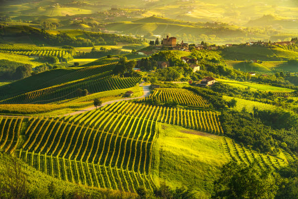 langhe vignobles sunset panorama, grinzane covour, piémont, italie europe. - chianti region photos et images de collection