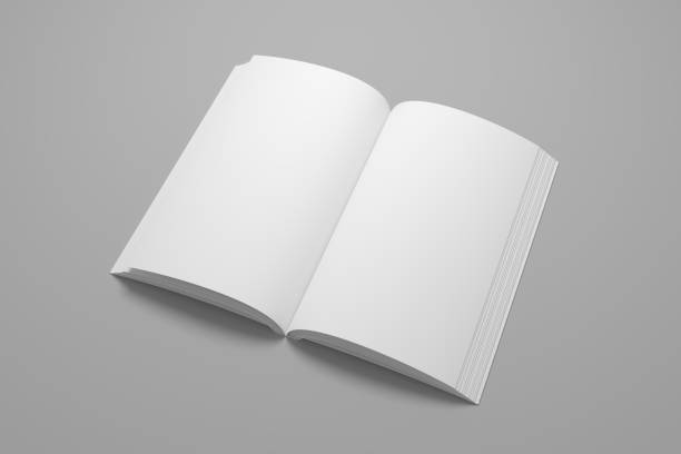 istock Blank opened 3D illustration of book mock-up. 1066870488