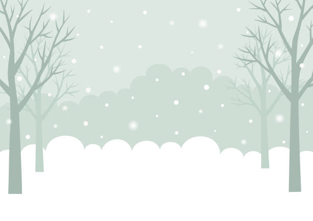 bildbanksillustrationer, clip art samt tecknat material och ikoner med winter forest bakgrund - winter wonderland