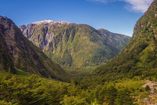 Bosque encantado - Parque Nacional de Queulat - Carretera Austral Chile, Patagonia photo