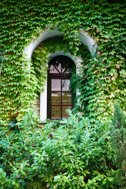 istock A beautiful box covered with leaves. Architecture, design. 1066876898