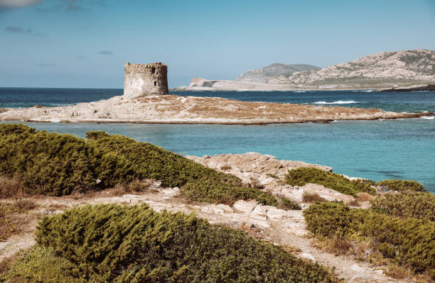 istock stintino beach with clear water in sardinia 1066877830