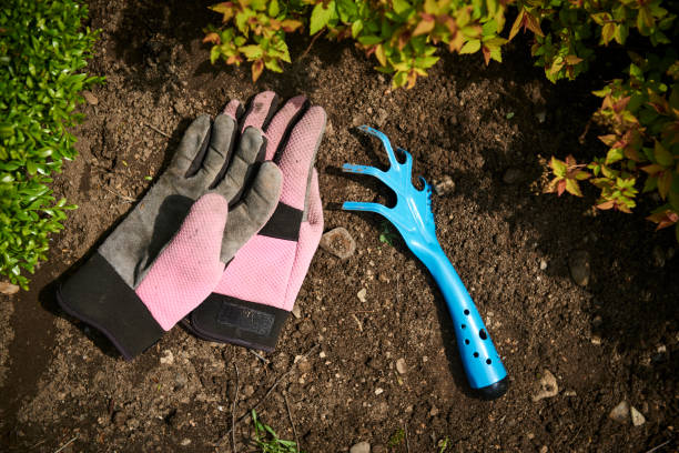 istock Gardening with gloves and rake 1066882860