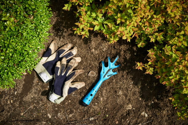 istock Gardening with gloves and rake 1066883028