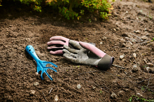 istock Gardening with gloves and rake 1066883140