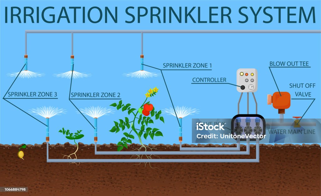 Springle System Model Irrigation Sprinkler System Vector Flat Illustration Stock Illustration ...