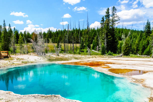 istock Clear lakes at West Thumb 1066886954