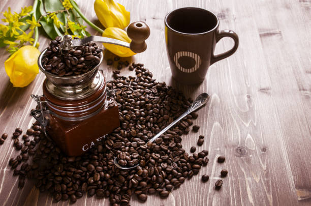 Coffee beans with coffee grinder and yellow tulips on brown wooden background. Coffee beans with coffee grinder and yellow tulips on brown wooden background. coffee grinder stock pictures, royalty-free photos & images