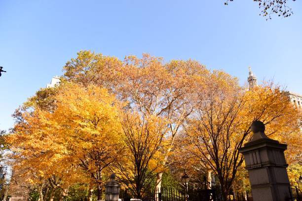 istock Autumn in NYC 1066888118