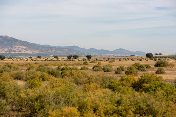 istock Landscape on daimiel tables with blue sky 1066891658