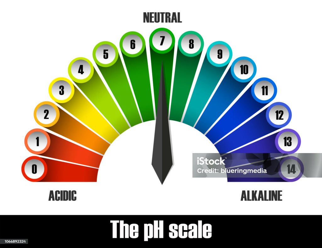 The ph scale chart The ph scale chart illustration Acid stock vector