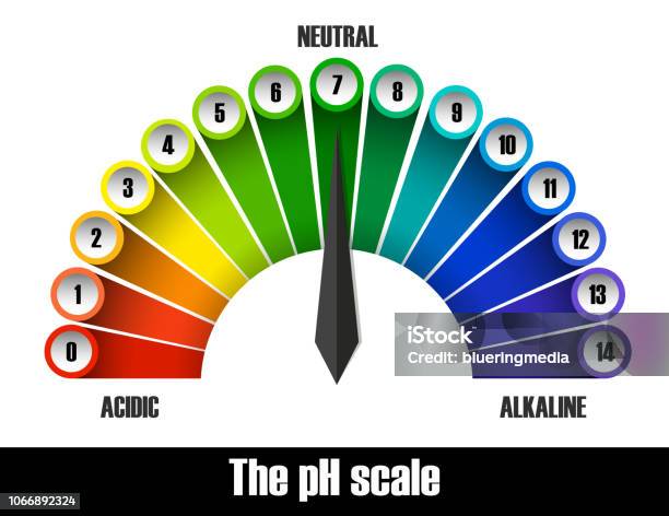 The Ph Scale Chart Stock Illustration - Download Image Now - Acid, Alkaline, Art