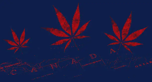 Photo of Cannabis in Canada