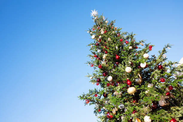 Christmas tree against the blue sky.