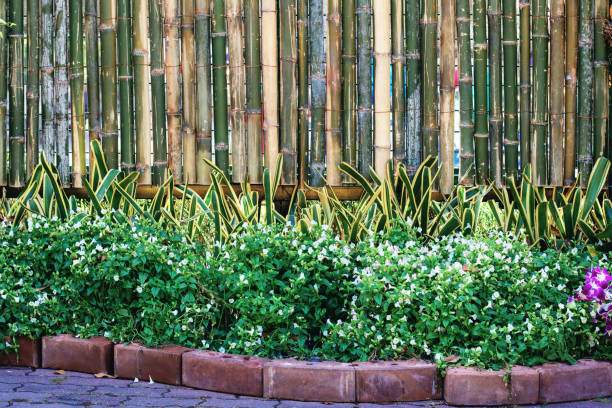 istock Ornamental with bamboo fence. 1066895154