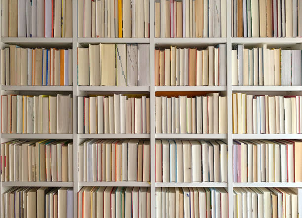 fully packed library shelves showing the white side of books - book trim, textblock - library book shelf generic imagens e fotografias de stock