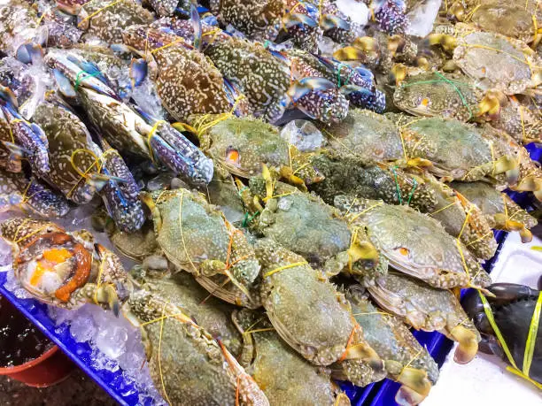Photo of Fresh Portunus pelagicus on a tray and container with ice on crab in market and is popular of tourist for select buy seafood.